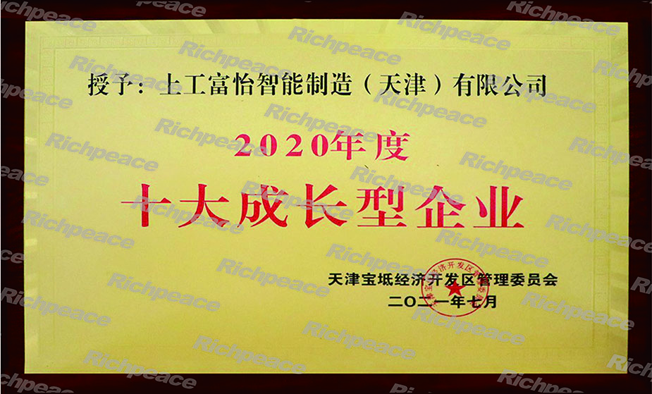 十大成長(zhǎng)型企業(yè) 十大成長(zhǎng)型企業(yè)