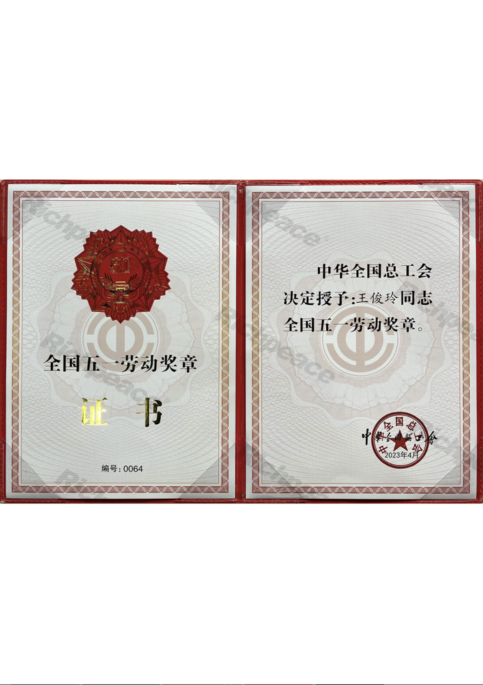 中華總工會(huì)——五一勞動(dòng)獎(jiǎng)?wù)芦@得者-王俊玲